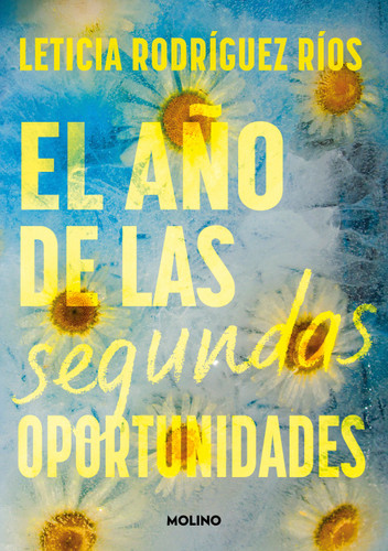 El año de las segundas oportunidades / The Year of Second Chances (Spanish Edition) by Leticia Rodríguez Ríos, 9788427242807
