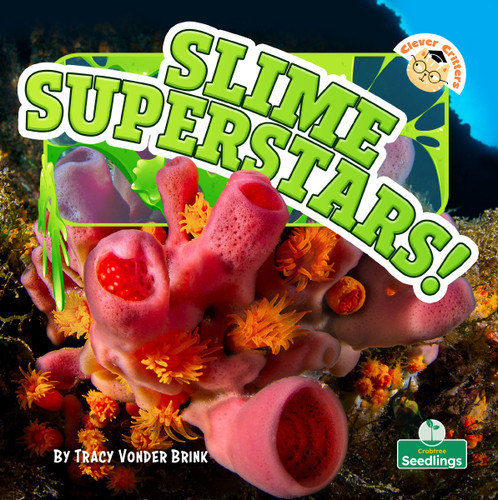 Slime Superstars! by Tracy Vonder Brink, 9781039881143
