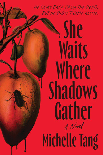 She Waits Where Shadows Gather by Michelle Tang, 9781464251047 She Waits Where Shadows Gather by Michelle Tang, 9781464251047
