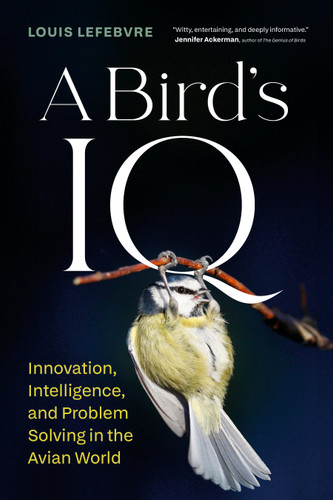 A Bird's IQ (Innovation, Intelligence, and Problem Solving in the Avian World) by Louis Lefebvre, Pablo Strauss, 9781778402647