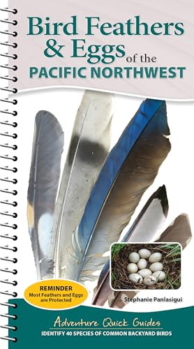 Bird Feathers & Eggs of the Pacific Northwest (Identify 40 Species of Common Backyard Birds) by Stephanie Panlasigui, 9781647556648