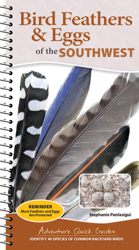 Bird Feathers & Eggs of the Southwest (Identify 40 Species of Common Backyard Birds) by Stephanie Panlasigui, 9781647556679