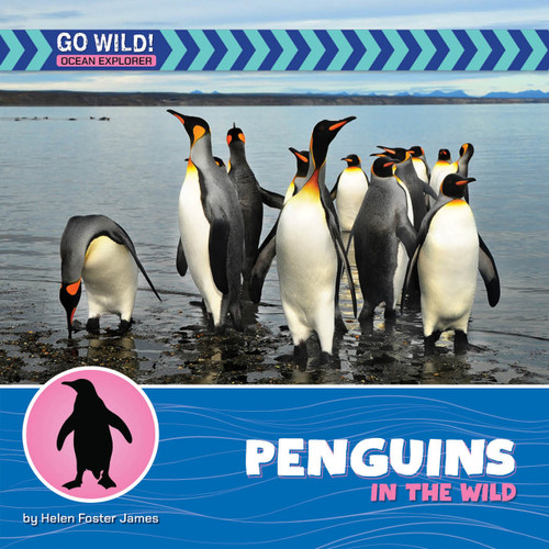 Penguins in the Wild by Helen Foster James, 9781668972816