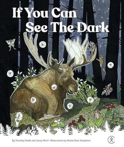 If You Can See The Dark by Timothy Mudie, Jenny Ward, Mattie Rose Templeton, 9781628421873 If You Can See The Dark by Timothy Mudie, Jenny Ward, Mattie Rose Templeton, 9781628421873