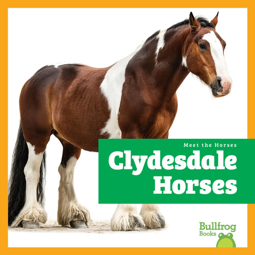 Clydesdale Horses - 9798892139465 - 9798892139465 by Rachel Grack, N/A, 9798892139465