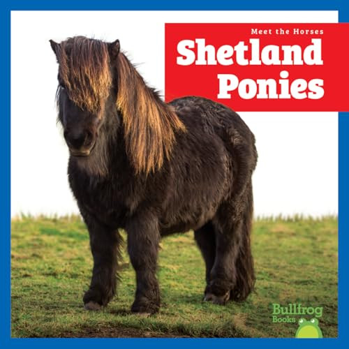 Shetland Ponies - 9798892139526 by Rachel Grack, 9798892139526