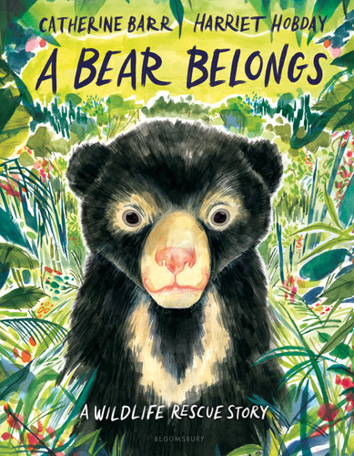 A Bear Belongs (A Wildlife Rescue Story) by Catherine Barr, Harriet Hobday, 9781547618231 A Bear Belongs (A Wildlife Rescue Story) by Catherine Barr, Harriet Hobday, 9781547618231