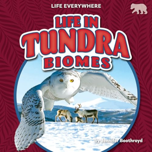 Life in Tundra Biomes - 9798895777053 by Jennifer Boothroyd, 9798895777053