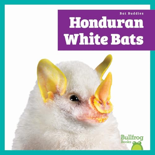 Honduran White Bats by Jenna Lee Gleisner, 9798896621997