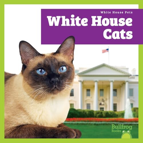 White House Cats by Lily Austen, 9798896622680