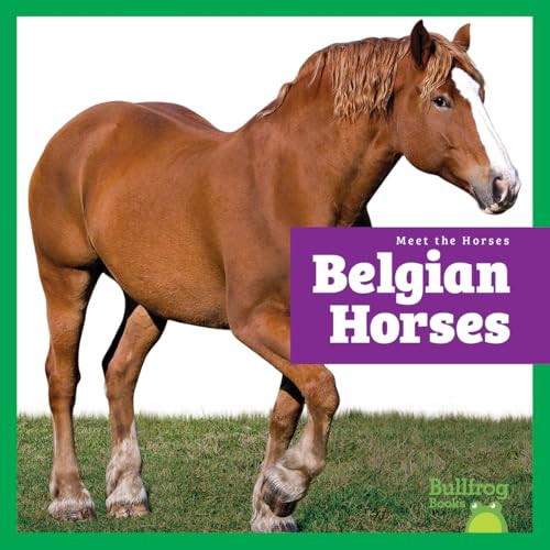 Belgian Horses - 9798896622369 by Rachel Grack, 9798896622369