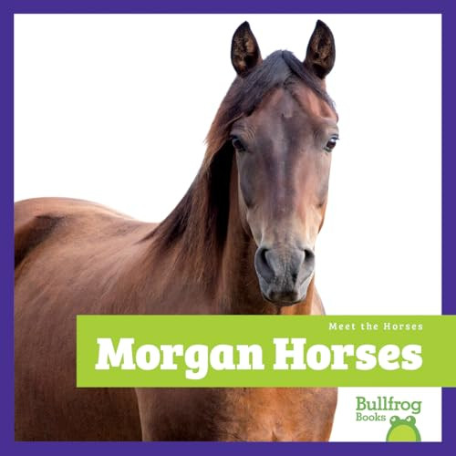 Morgan Horses - 9798896622420 by Rachel Grack, 9798896622420