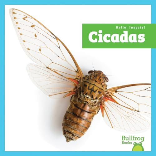 Cicadas - 9798896623915 by Tessa Kenan, 9798896623915
