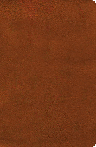 NASB Verse-by-Verse Reference Bible, Burnt Sienna LeatherTouch by Holman Bible Publishers, 9798384546085