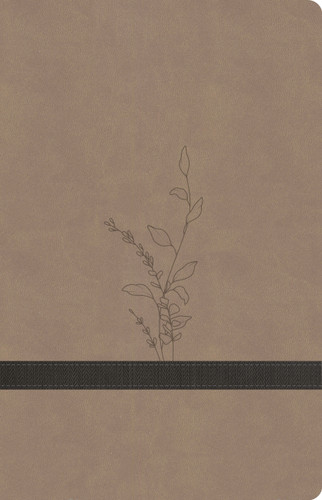 KJV Large Print Personal Size Reference Bible, Earthen SuedeSoft LeatherTouch, Indexed by Holman Bible Publishers, 9798384546153