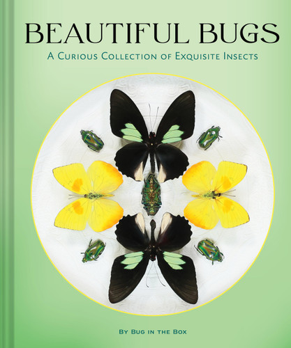 Beautiful Bugs (A Curious Collection of Exquisite Insects) by Bug In The Box, 9781797243047
