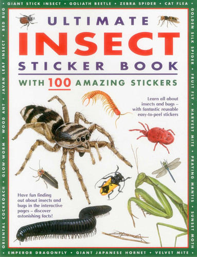 Ultimate Insect Sticker Book (With 100 Amazing Easy-to-Peel Stickers) by Armadillo Publishing, 9781843229476
