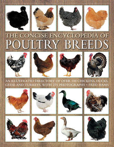The Concise Encyclopedia of Poultry Breeds (An Illustrated Directory Of Over 100 Chickens, Ducks, Geese And Turkeys, With 275 Photographs) by Fred Hams, 9781844760589