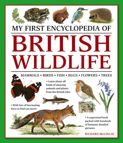 My First Encylopedia of British Wildlife (Mammals, Birds, Fish, Bugs, Flowers, Trees) by Richard McGinlay, 9781861478498