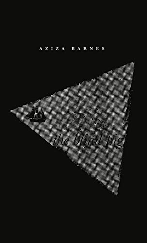 The Blind Pig by Aziza Barnes, 9781945649325