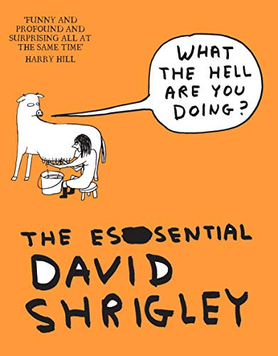 What The Hell Are You Doing?: The Essential David Shrigley by David Shrigley, Will Self, 9781847678638