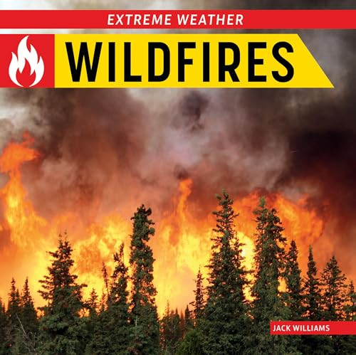 Wildfires - 9781978576810 by Jack Williams