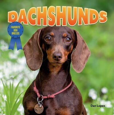 Dachshunds - 9781978576681 by Dan Lopez, 9781978576681
