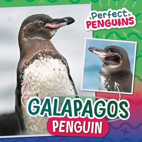 Galapagos Penguin by Bethany Latham, 9781978547414