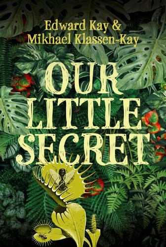 Our Little Secret by Edward Kay, Mikhael Klassen-Kay, 9781770868366