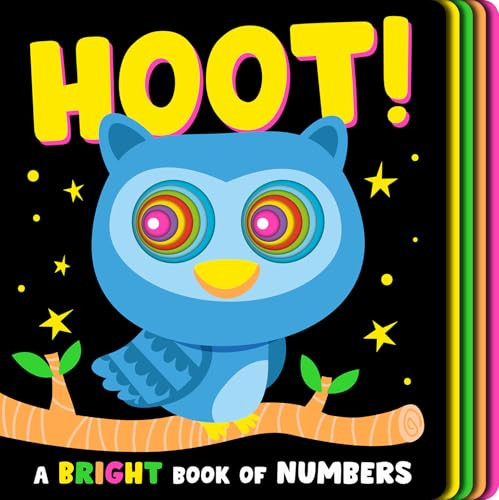 Hoot! (A Bright Book of Numbers!) by Jonathan Litton, Fhiona Galloway, 9781664352353