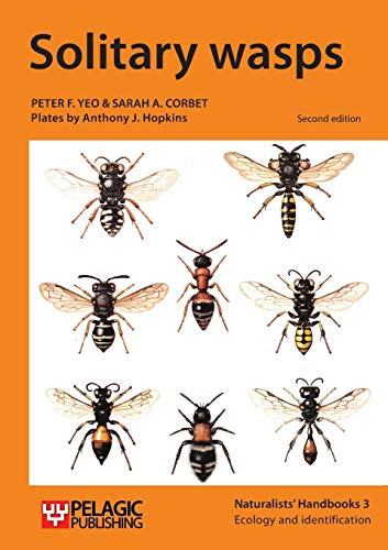 Solitary Wasps by Peter F. Yeo, Sarah A. Corbet, 9781784270339
