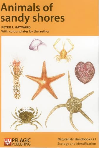 Animals of Sandy Shores by Peter J. Hayward, Peter J. Hayward, 9781784270391