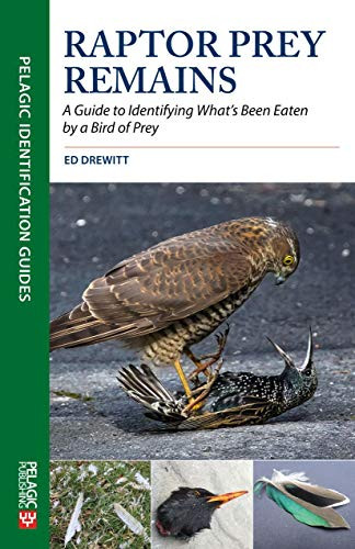 Raptor Prey Remains (A Guide to Identifying What's Been Eaten by a Bird of Prey) by Ed Drewitt, 9781784272074