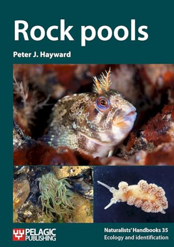 Rock Pools - 9781784273590 by Peter J. Hayward