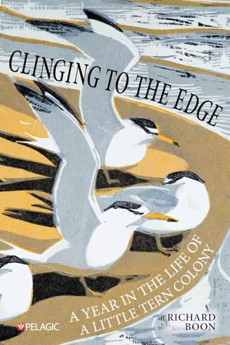 Clinging to the Edge (A Year in the Life of a Little Tern Colony) by Richard Boon, 9781784274894