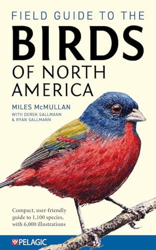 Field Guide to the Birds of North America by Miles McMullan, Derek Sallmann, Ryan Sallmann, 9781784275426