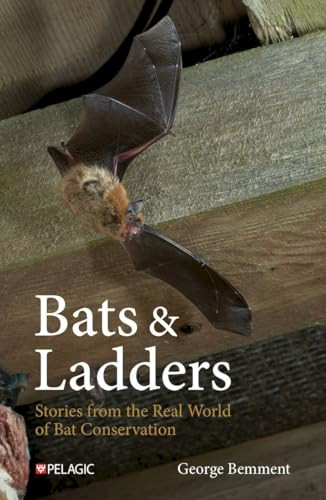Bats & Ladders (Stories from the Real World of Bat Conservation) - 9781784275815 by George Bemment