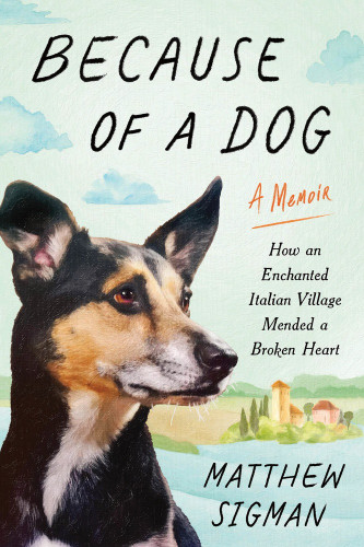 Because of a Dog (How an Enchanted Italian Village Mended a Broken Heart) by Matthew Sigman, 9781464270178