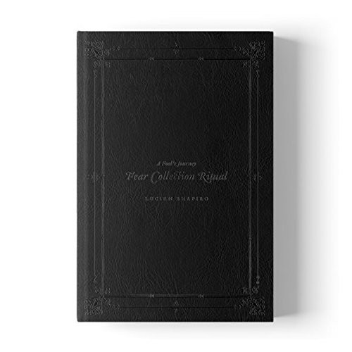 A Fool's Journey by Lucien Shapiro, 9781945649158