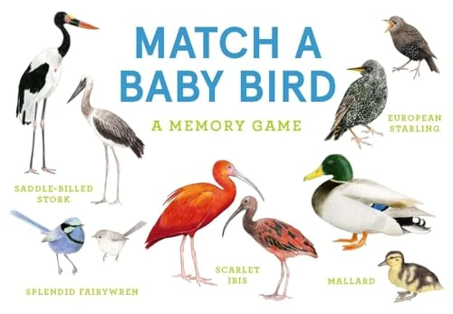 Match a Baby Bird (An Avian Memory Game) by Mike Unwin, Christine Berrie, 9781399608558