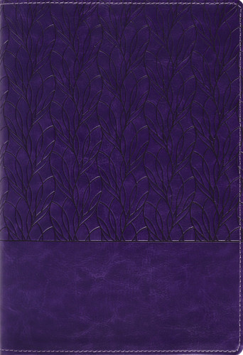 Amplified Holy Bible, Large Print, Leathersoft, Purple (Captures the Full Meaning Behind the Original Greek and Hebrew) by Zondervan, 9780310468943
