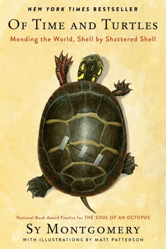 Of Time and Turtles (Mending the World, Shell by Shattered Shell) by Sy Montgomery, Matt Patterson, 9780358458180