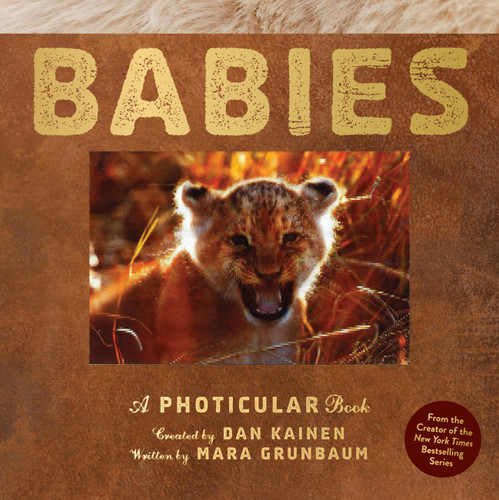 Babies (A Photicular Book) by Dan Kainen, Mara Grunbaum, 9781523532094