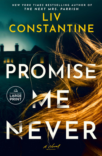 Promise Me Never (A Novel) - 9798217347728 by Liv Constantine, 9798217347728