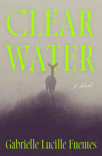 Clear Water (A Novel) by Gabrielle Lucille Fuentes, 9781250389770
