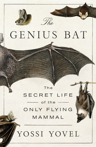 The Genius Bat (The Secret Life of the Only Flying Mammal) - 9781250378460 by Yossi Yovel