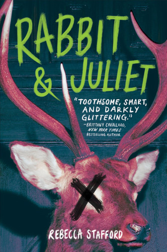 Rabbit & Juliet - 9780063351370 by Rebecca Stafford, 9780063351370