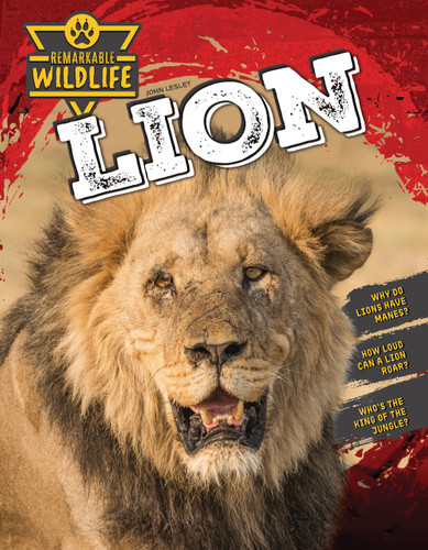 Lion - 9781761402609 by John Lesley