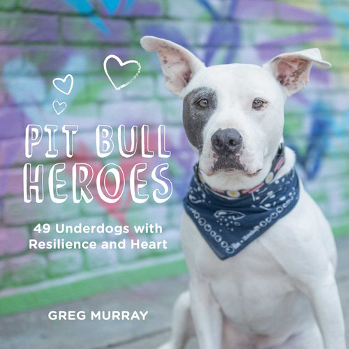 Pit Bull Heroes (49 Underdogs with Resilience and Heart) by Greg Murray, 9781423650447