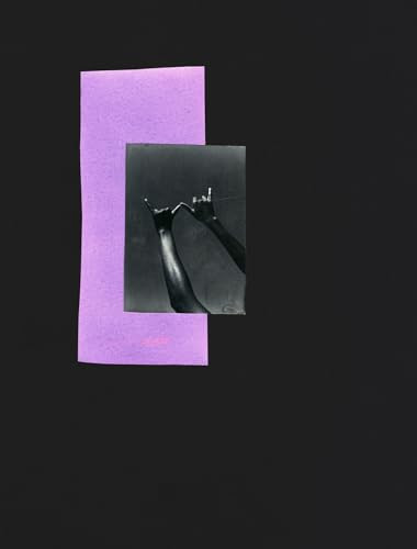 Dionne Lee: Currents by Dionne Lee, Eric Booker, Camille T. Dungy, Gabrielle L'Hirondelle Hill, 9781597115988